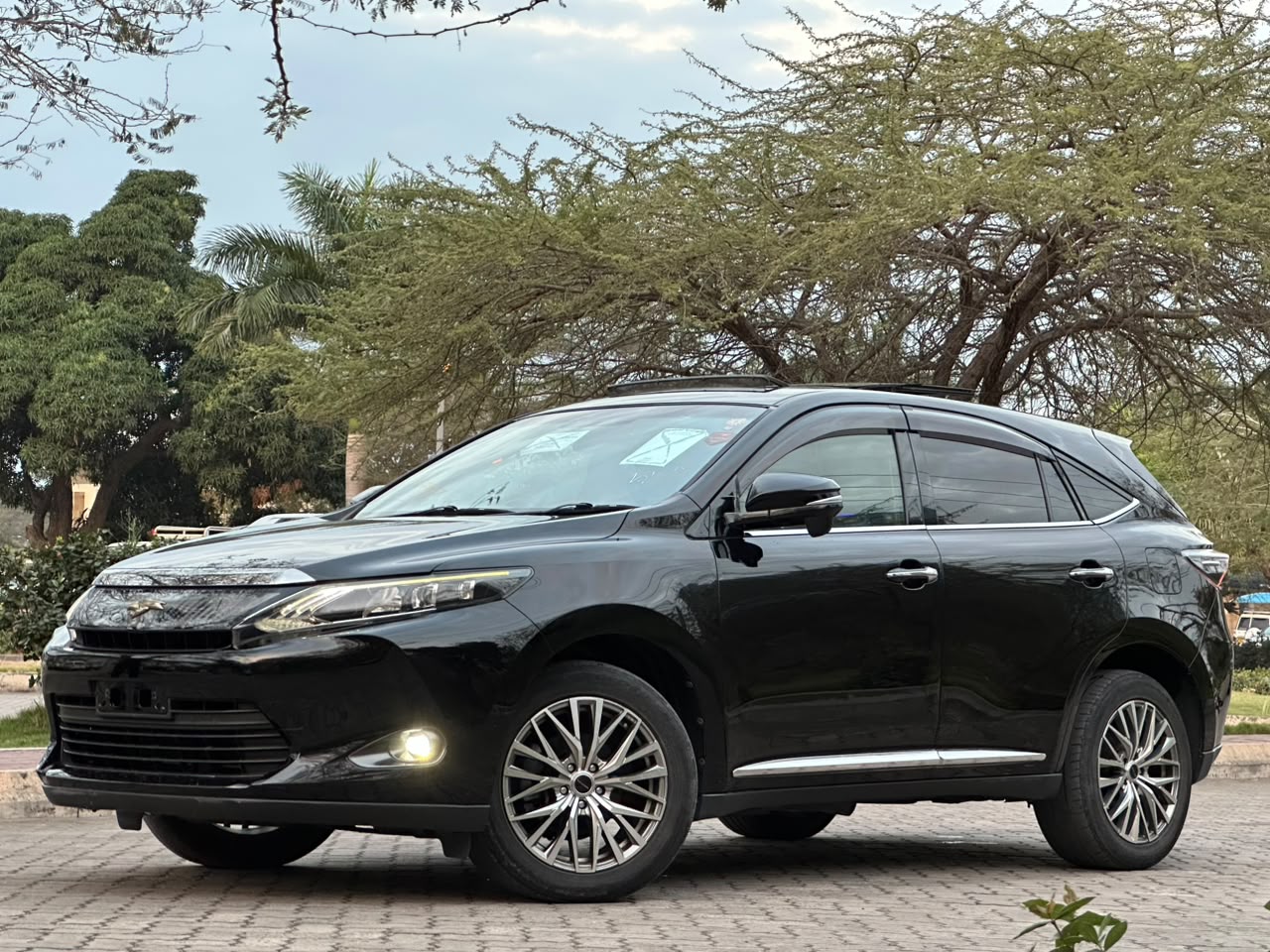 Toyota Harrier Anaconda thumbnail 2